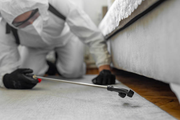 Professional Bed Bug Control technician working in Lorton, VA
