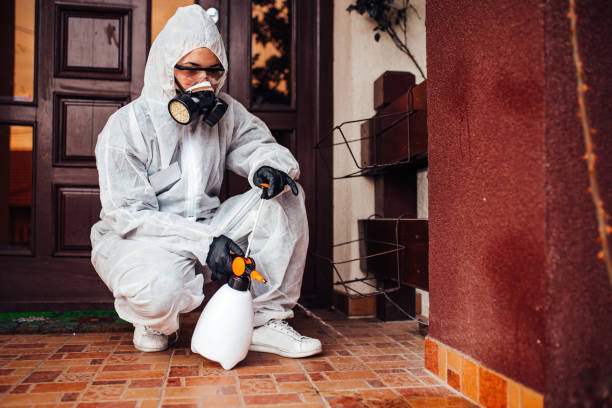 Reliable Bed Bug Control contractor in Lorton, VA by Nex Pest Control